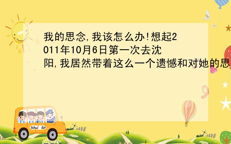 我的思念,我该怎么办!想起2011年10月6日第一次去沈阳,我居然带着这么一个遗憾和对她的思念回广东!记得那一天刚忙完,就在沈阳北站对面的一个公车站等车回酒店,没想突然下起了瓢泼大雨,