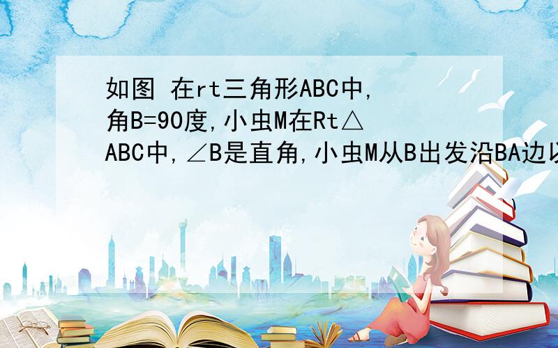 如图 在rt三角形ABC中,角B=90度,小虫M在Rt△ABC中,∠B是直角,小虫M从B出发沿BA边以1cm/s的速度爬行,小虫N从B出发沿BC边以2cm/s的速度爬行.几秒后,△MBN的面积为35cm平方?