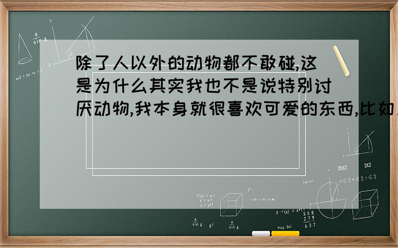 除了人以外的动物都不敢碰,这是为什么其实我也不是说特别讨厌动物,我本身就很喜欢可爱的东西,比如人类的小孩、熊娃娃、仓鼠、小型犬,可是就是不敢接近那些动物,前些阵子我同学养过