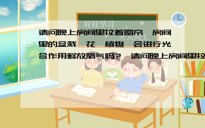 请问晚上房间里拉着窗帘,房间里的盆栽,花,植物,会进行光合作用释放氧气吗?》请问晚上房间里拉着窗帘（比较厚不太透光那种）,房间里的盆栽（我家是君子兰,芦荟）会进行光合作用释放氧