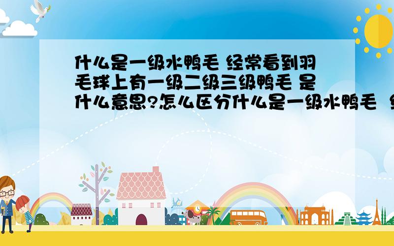 什么是一级水鸭毛 经常看到羽毛球上有一级二级三级鸭毛 是什么意思?怎么区分什么是一级水鸭毛  经常看到羽毛球上有一级二级三级鸭毛  是什么意思?怎么区分