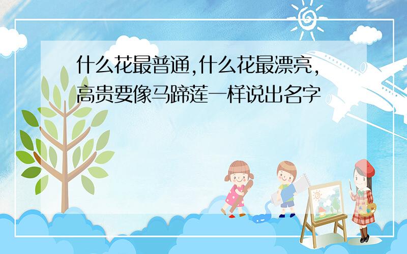 什么花最普通,什么花最漂亮,高贵要像马蹄莲一样说出名字