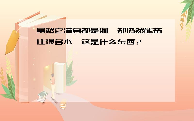 虽然它满身都是洞,却仍然能畜住很多水,这是什么东西?