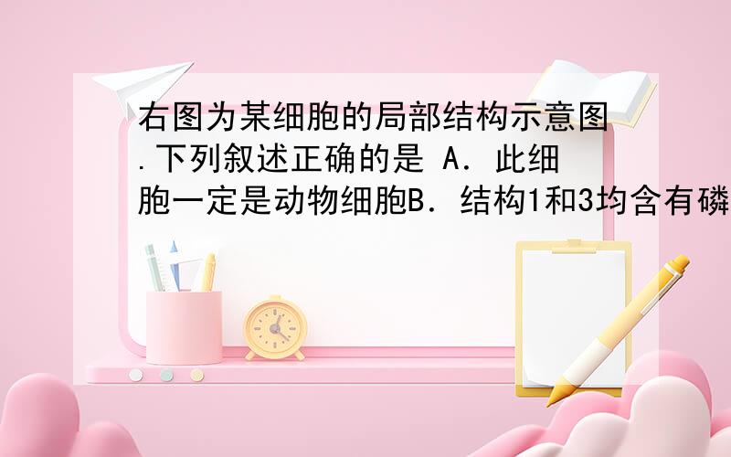 右图为某细胞的局部结构示意图.下列叙述正确的是 A．此细胞一定是动物细胞B．结构1和3均含有磷脂和蛋白质C．图中所示结构都可在高倍光学显微镜下观察到D．结构2由2个相互垂直的中心粒