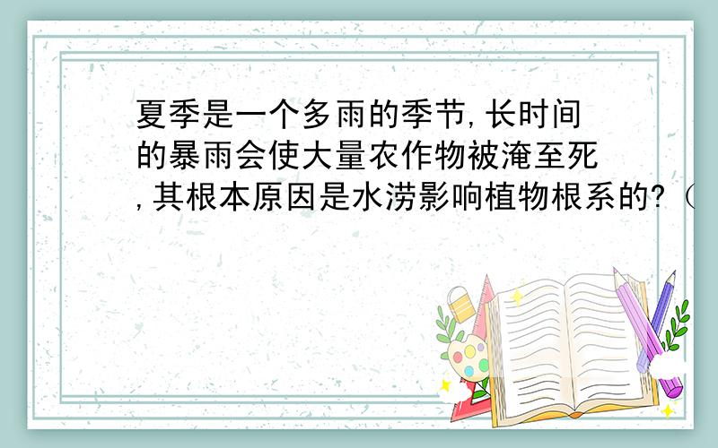 夏季是一个多雨的季节,长时间的暴雨会使大量农作物被淹至死,其根本原因是水涝影响植物根系的?（ B ）A,光合作用 B,蒸腾作用 C,吸收作用 D,呼吸作用-