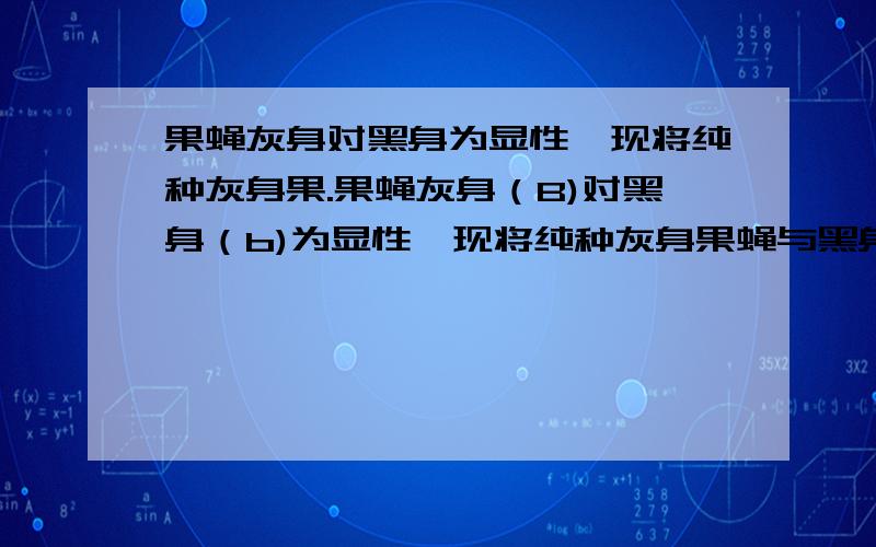 果蝇灰身对黑身为显性,现将纯种灰身果.果蝇灰身（B)对黑身（b)为显性,现将纯种灰身果蝇与黑身果蝇杂交,产生的F1代再自交产生F2代,将F2代中说有黑身果蝇除去,让灰身果蝇自由交配,产生F3代