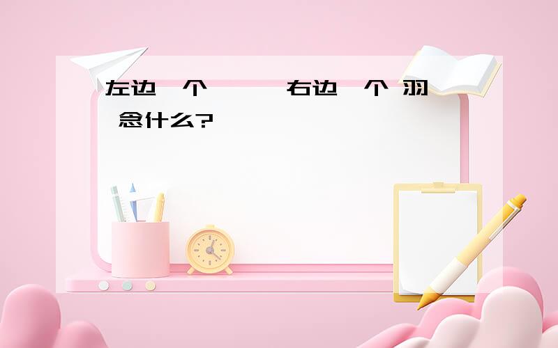 左边一个 冉 ,右边一个 羽 念什么?