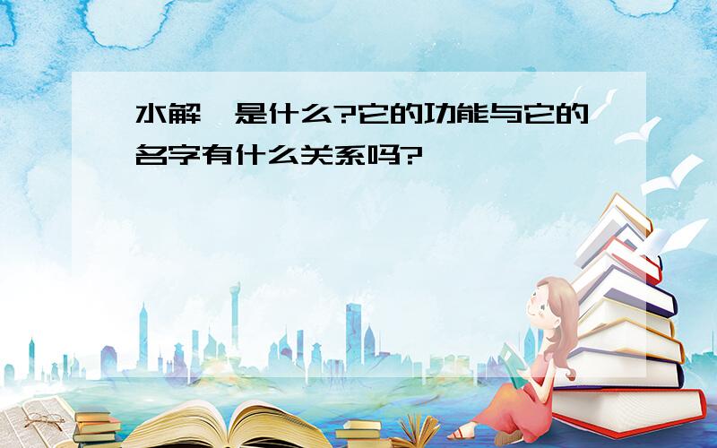 水解酶是什么?它的功能与它的名字有什么关系吗?