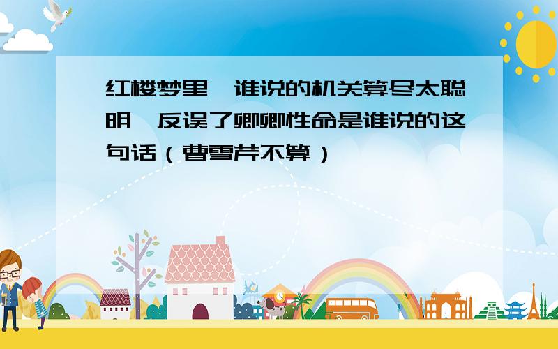 红楼梦里,谁说的机关算尽太聪明,反误了卿卿性命是谁说的这句话（曹雪芹不算）