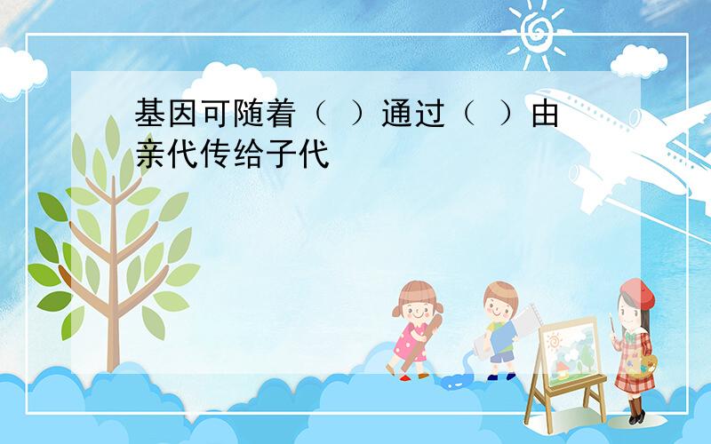 基因可随着（ ）通过（ ）由亲代传给子代