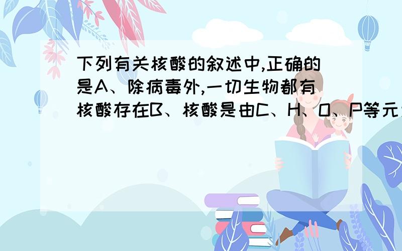 下列有关核酸的叙述中,正确的是A、除病毒外,一切生物都有核酸存在B、核酸是由C、H、O、P等元素组成的化合物C、组成核酸的基本单位是脱氧核酸D、核酸是一切生物的遗传物质本题并没说明