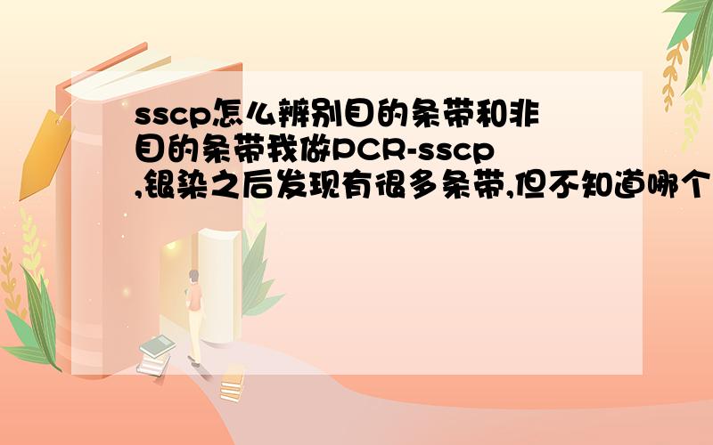 sscp怎么辨别目的条带和非目的条带我做PCR-sscp,银染之后发现有很多条带,但不知道哪个才是目的条带变性后的结果,有一种条带比较亮,下面还有不是很亮的,而且好像有多态.