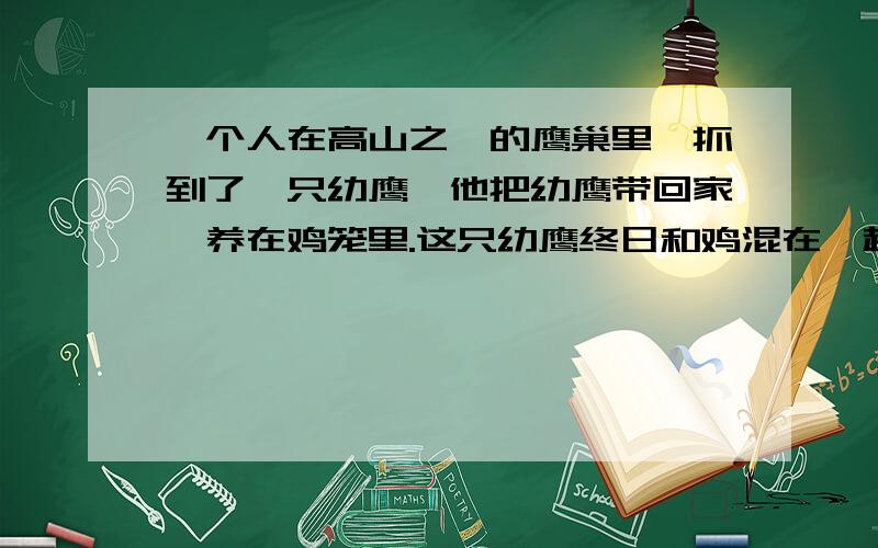 一个人在高山之巅的鹰巢里,抓到了一只幼鹰,他把幼鹰带回家,养在鸡笼里.这只幼鹰终日和鸡混在一起,和鸡一起啄食、戏闹和休息.它完全不知道做为一只鹰该怎样生活.这只鹰渐渐长大,羽翼