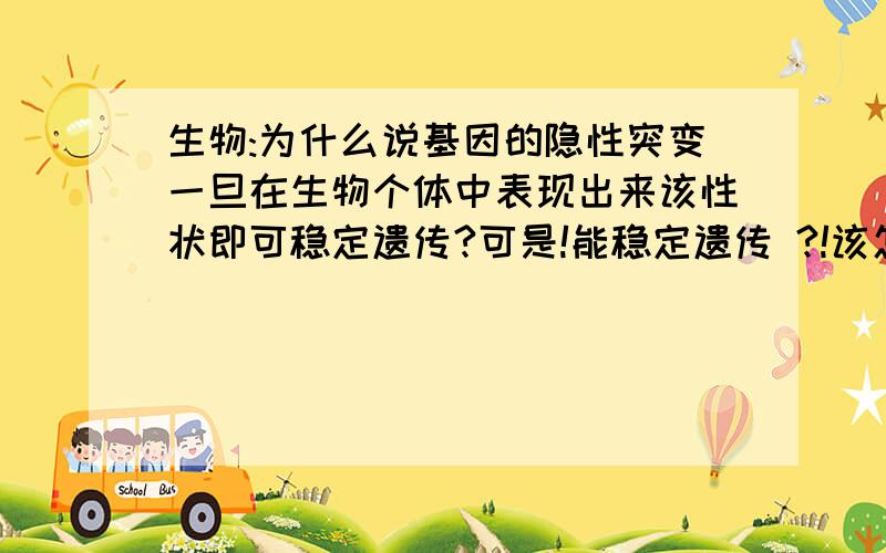 生物:为什么说基因的隐性突变一旦在生物个体中表现出来该性状即可稳定遗传?可是!能稳定遗传 ?!该怎么理解呢?