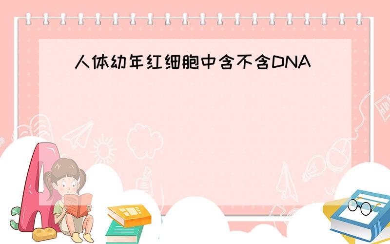 人体幼年红细胞中含不含DNA