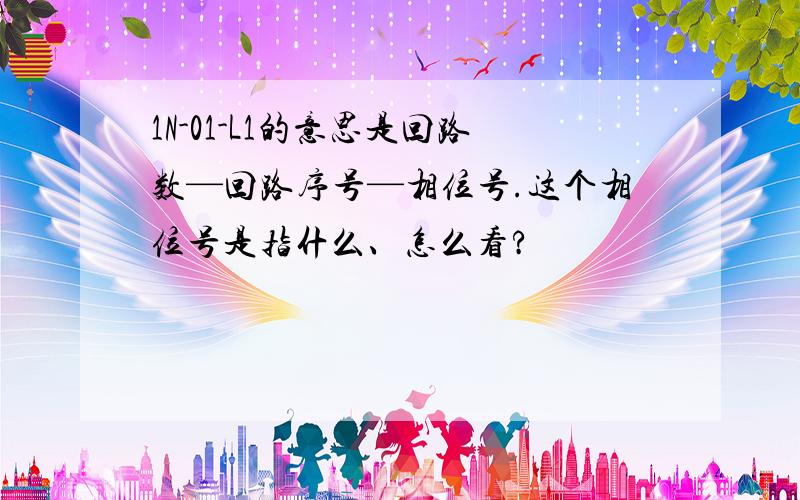 1N-01-L1的意思是回路数—回路序号—相位号.这个相位号是指什么、怎么看?