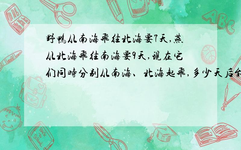 野鸭从南海飞往北海要7天,燕从北海飞往南海要9天,现在它们同时分别从南海、北海起飞,多少天后能够相遇