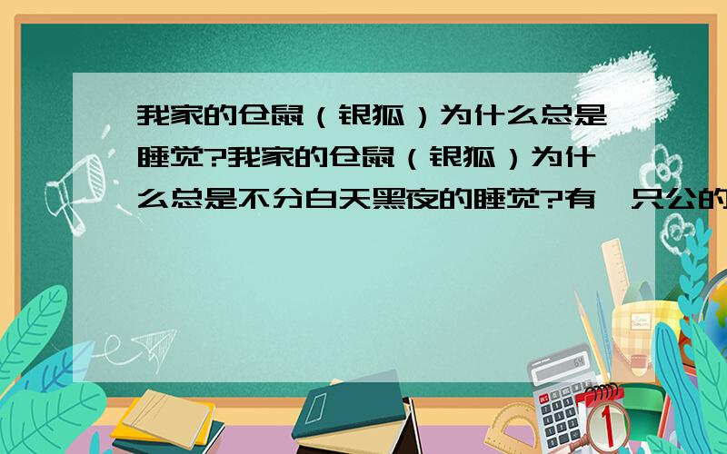 我家的仓鼠（银狐）为什么总是睡觉?我家的仓鼠（银狐）为什么总是不分白天黑夜的睡觉?有一只公的还活泼一点,另一只母的总是在窝里睡觉,这是为什么?我把它放在整理箱里的,整理箱放在