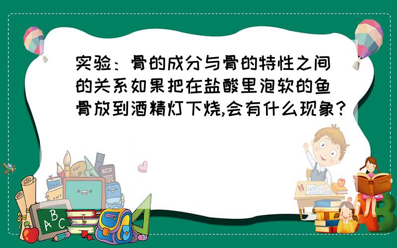 实验：骨的成分与骨的特性之间的关系如果把在盐酸里泡软的鱼骨放到酒精灯下烧,会有什么现象?