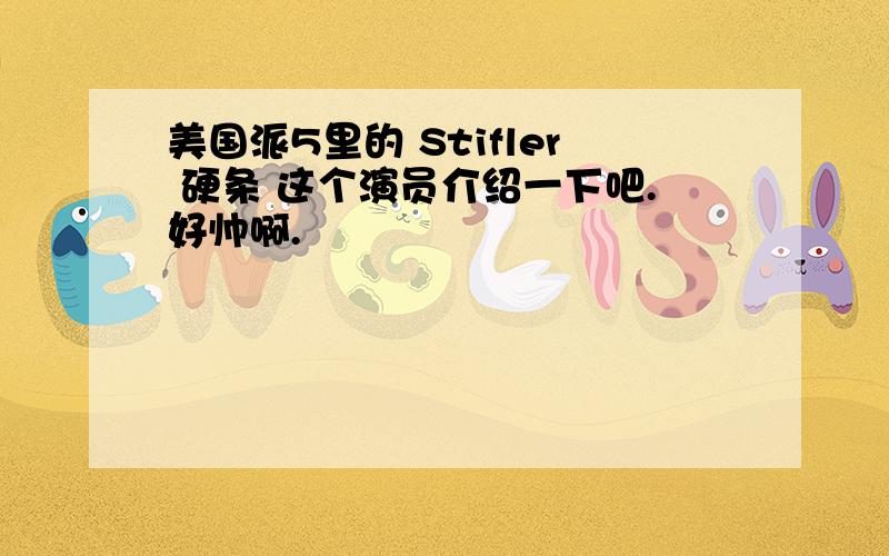 美国派5里的 Stifler 硬条 这个演员介绍一下吧.好帅啊.