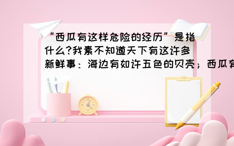 “西瓜有这样危险的经历”是指什么?我素不知道天下有这许多新鲜事：海边有如许五色的贝壳；西瓜有这样危险的经历,我先前单知道他在水果店里出卖罢了.如何理解“他们都和我一样,院子