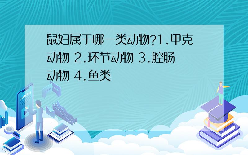 鼠妇属于哪一类动物?1.甲克动物 2.环节动物 3.腔肠动物 4.鱼类