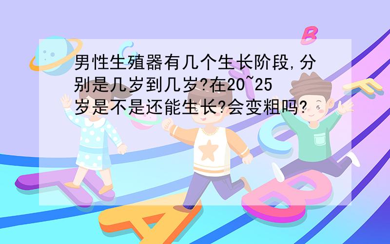 男性生殖器有几个生长阶段,分别是几岁到几岁?在20~25岁是不是还能生长?会变粗吗?