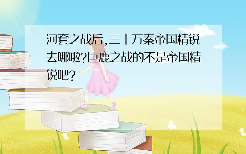 河套之战后,三十万秦帝国精锐去哪啦?巨鹿之战的不是帝国精锐吧?