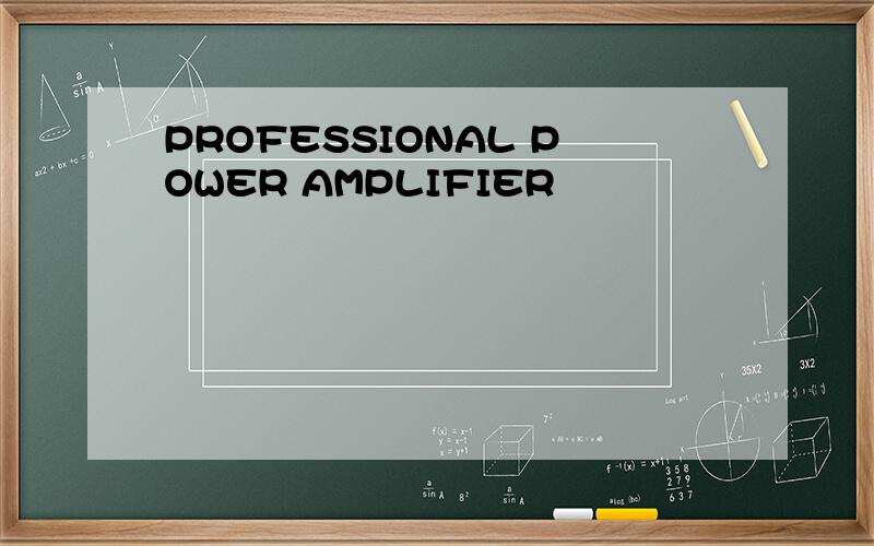 PROFESSIONAL POWER AMPLIFIER