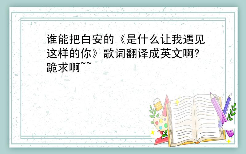 谁能把白安的《是什么让我遇见这样的你》歌词翻译成英文啊?跪求啊~~