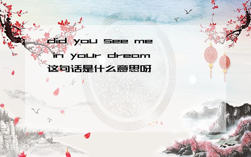 did you see me in your dream这句话是什么意思呀