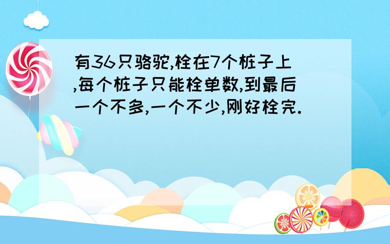 有36只骆驼,栓在7个桩子上,每个桩子只能栓单数,到最后一个不多,一个不少,刚好栓完.