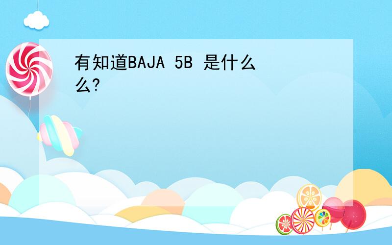 有知道BAJA 5B 是什么么?