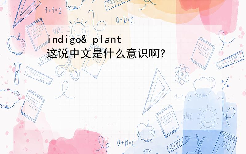 indigo& plant 这说中文是什么意识啊?