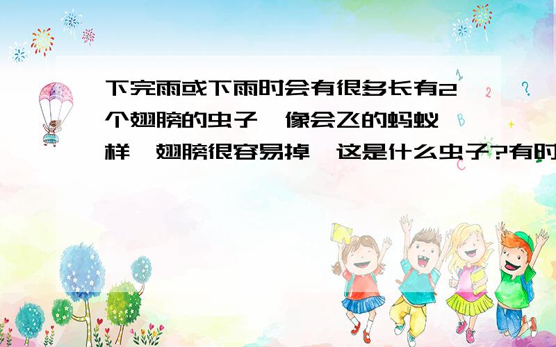 下完雨或下雨时会有很多长有2个翅膀的虫子,像会飞的蚂蚁一样,翅膀很容易掉,这是什么虫子?有时没下雨也会有的.