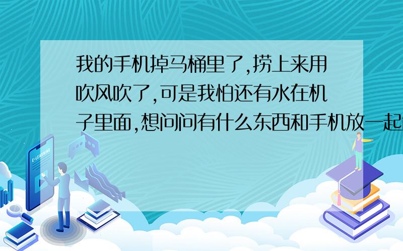 我的手机掉马桶里了,捞上来用吹风吹了,可是我怕还有水在机子里面,想问问有什么东西和手机放一起能吸除气和水分.最好是生活中常用的!索尼爱立信M1i不好拆机.拆了就全没啦.