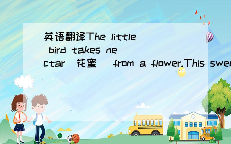 英语翻译The little bird takes nectar（花蜜） from a flower.This sweet liquid（液体） is food for the bird.It uses its long bill to get the nectar deep（深的） in the flower.The little bird is hummingbird（蜂雀）.Hummingbirds are t