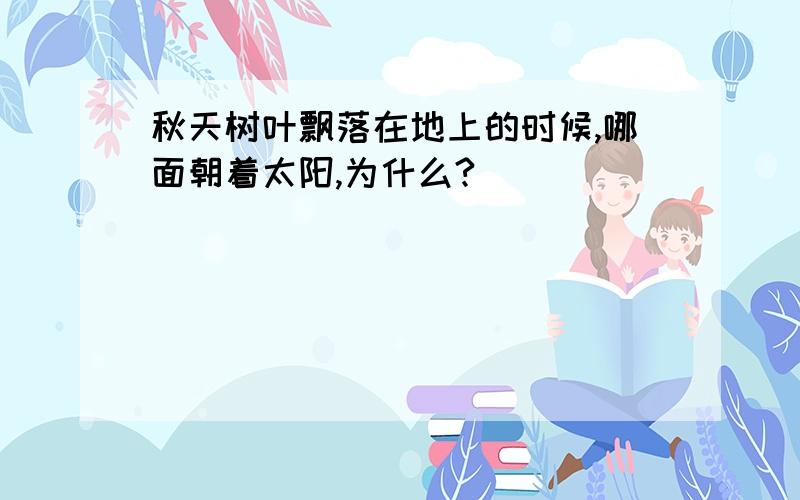 秋天树叶飘落在地上的时候,哪面朝着太阳,为什么?