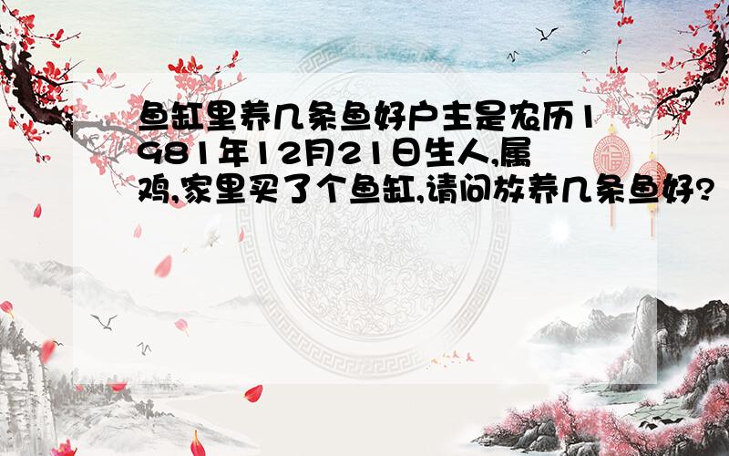 鱼缸里养几条鱼好户主是农历1981年12月21日生人,属鸡,家里买了个鱼缸,请问放养几条鱼好?