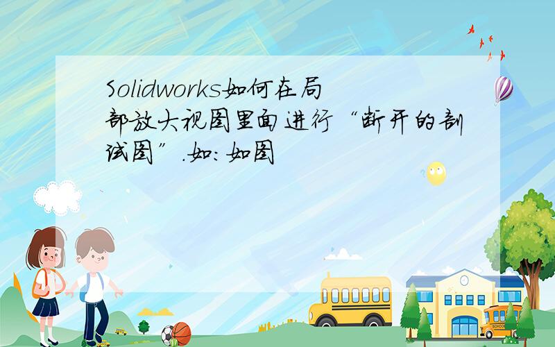 Solidworks如何在局部放大视图里面进行“断开的剖试图”.如：如图