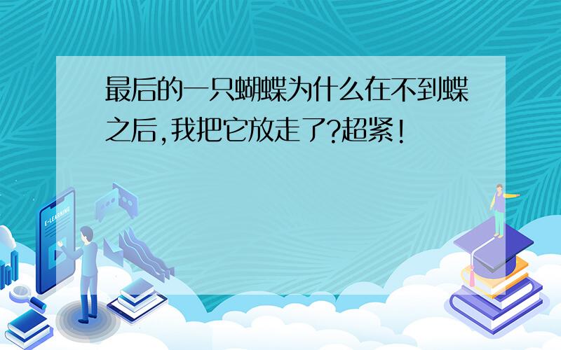 最后的一只蝴蝶为什么在不到蝶之后,我把它放走了?超紧!