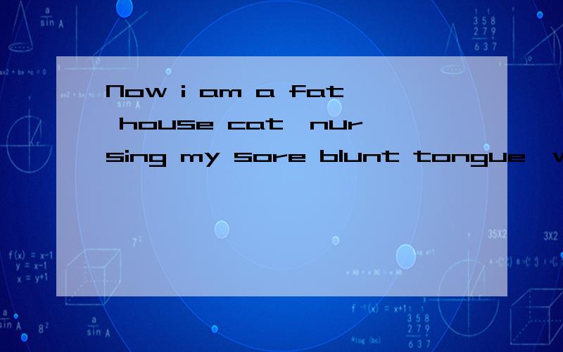 Now i am a fat house cat,nursing my sore blunt tongue,watching the warm poison rats.中文翻译