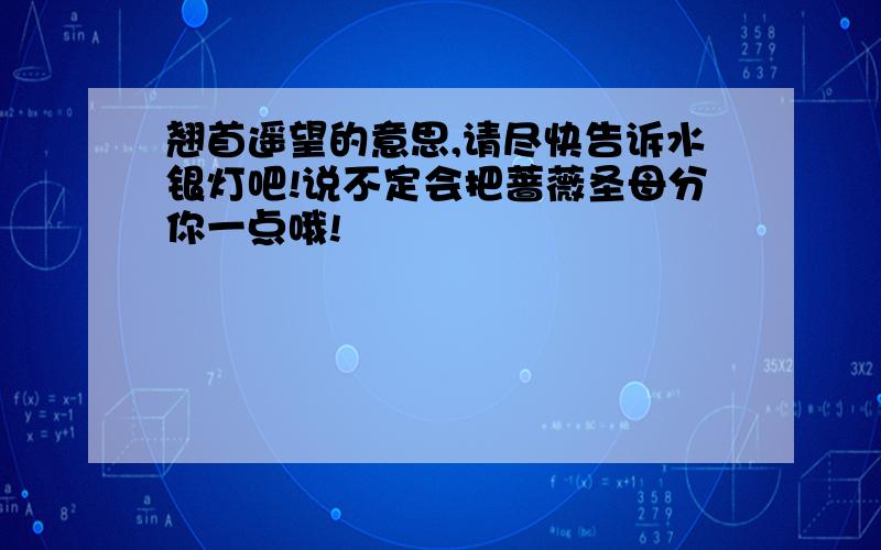 翘首遥望的意思,请尽快告诉水银灯吧!说不定会把蔷薇圣母分你一点哦!