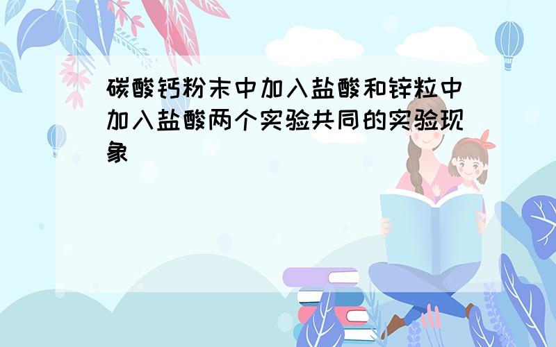 碳酸钙粉末中加入盐酸和锌粒中加入盐酸两个实验共同的实验现象