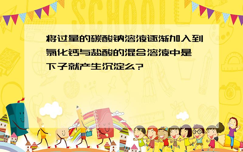 将过量的碳酸钠溶液逐渐加入到氯化钙与盐酸的混合溶液中是一下子就产生沉淀么?