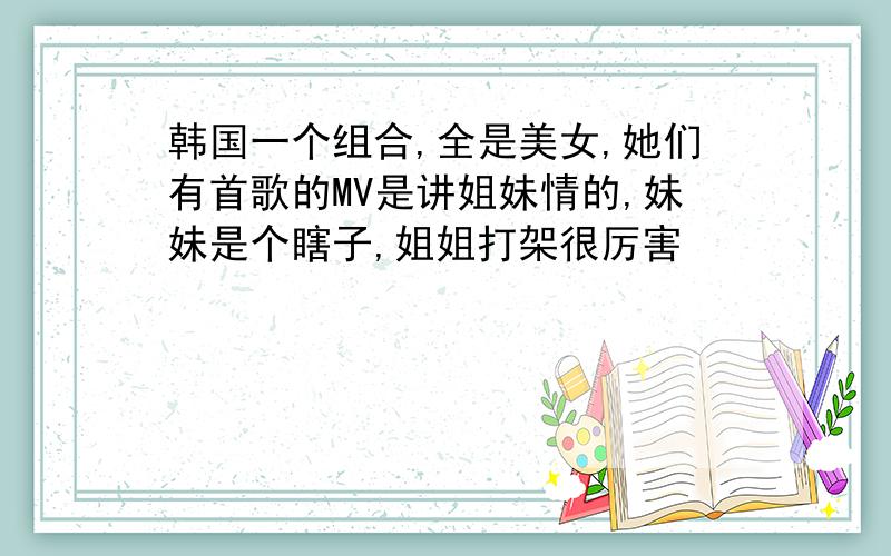 韩国一个组合,全是美女,她们有首歌的MV是讲姐妹情的,妹妹是个瞎子,姐姐打架很厉害