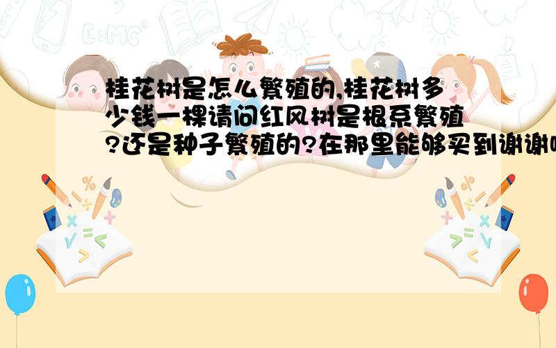 桂花树是怎么繁殖的,桂花树多少钱一棵请问红风树是根系繁殖?还是种子繁殖的?在那里能够买到谢谢啦亲爱的网友