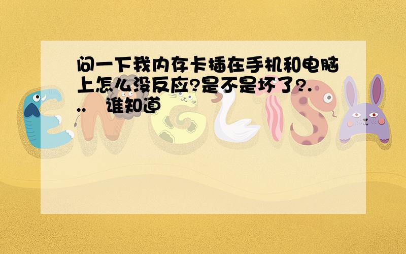 问一下我内存卡插在手机和电脑上怎么没反应?是不是坏了?...　谁知道