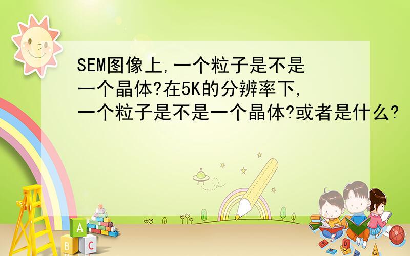 SEM图像上,一个粒子是不是一个晶体?在5K的分辨率下,一个粒子是不是一个晶体?或者是什么?