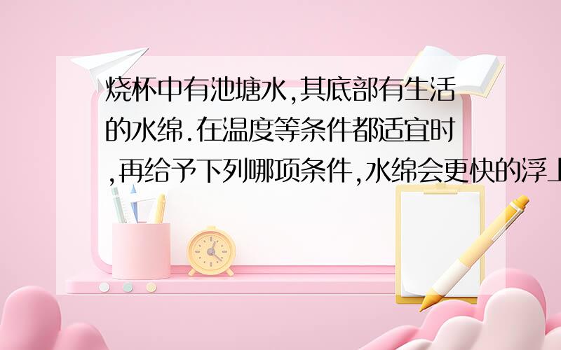 烧杯中有池塘水,其底部有生活的水绵.在温度等条件都适宜时,再给予下列哪项条件,水绵会更快的浮上来?A.氧气 B.黑暗 C.光照 D.黑暗和氧气